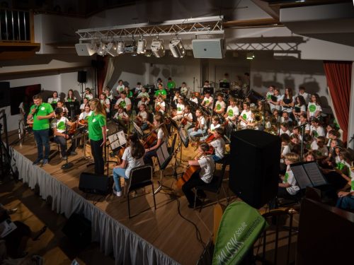 RegionalmusikschuleKreuzenstein00005