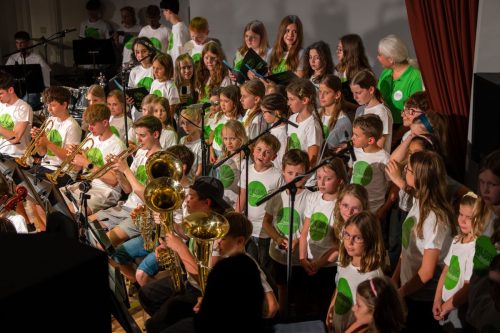 RegionalmusikschuleKreuzenstein00027