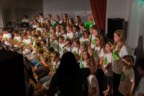 RegionalmusikschuleKreuzenstein00028