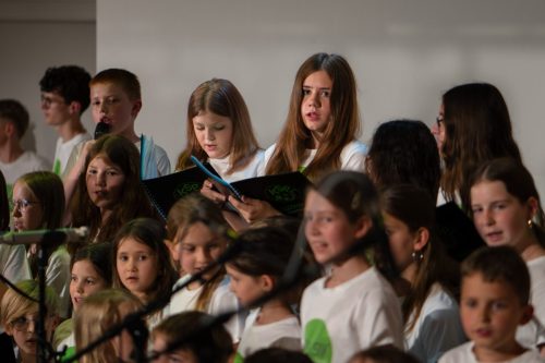 RegionalmusikschuleKreuzenstein00031