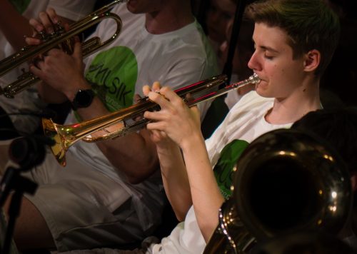 RegionalmusikschuleKreuzenstein00045