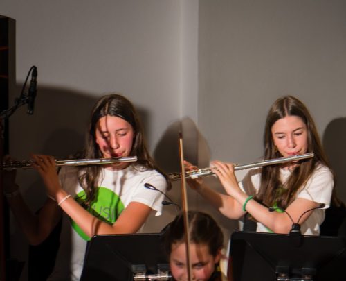 RegionalmusikschuleKreuzenstein00057