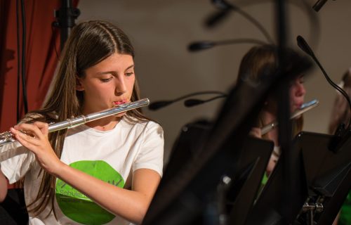 RegionalmusikschuleKreuzenstein00069