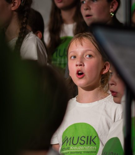 RegionalmusikschuleKreuzenstein00081