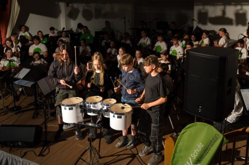 RegionalmusikschuleKreuzenstein00098